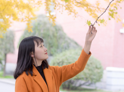 菲律宾碧瑶景点(碧瑶热门景点推荐)